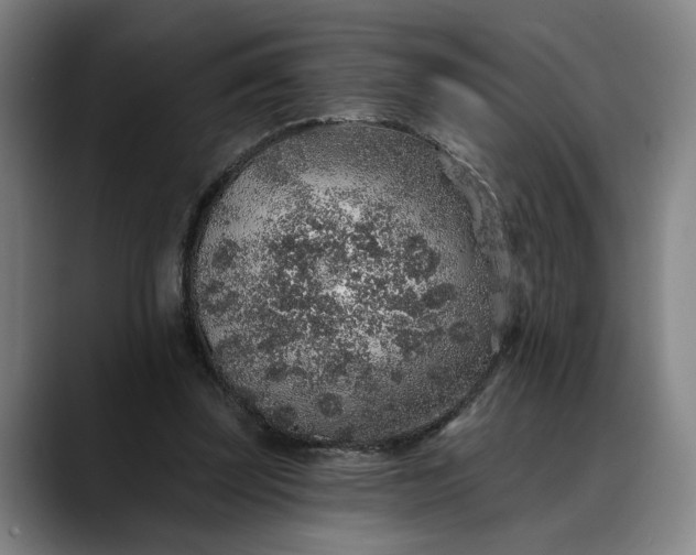 X0000088670347200706141340