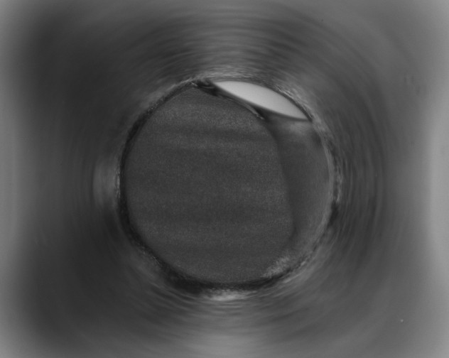 X0000088670348200706141340