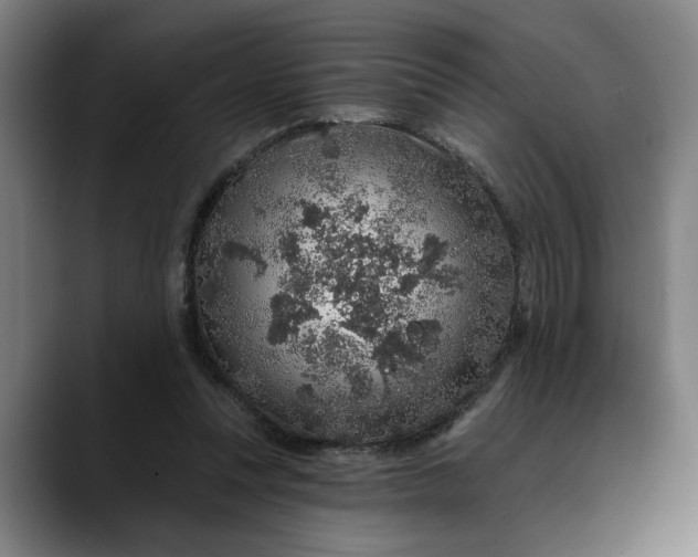 X0000088670351200706141340