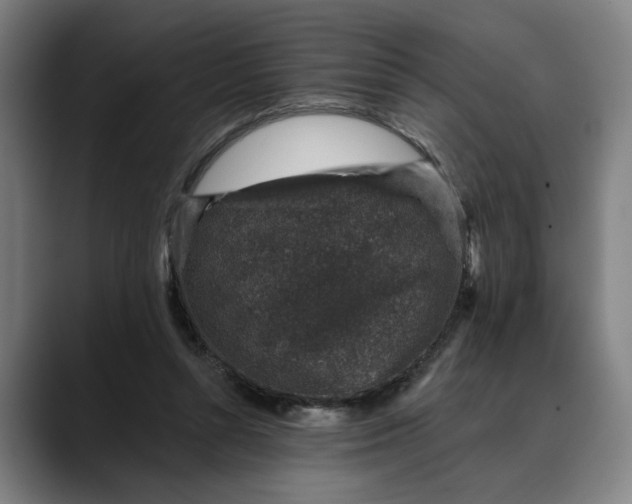 X0000088670352200706141340
