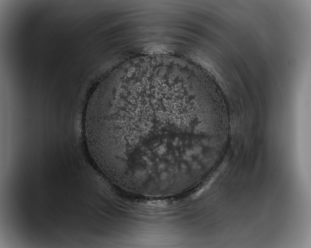 X0000088670353200706141340
