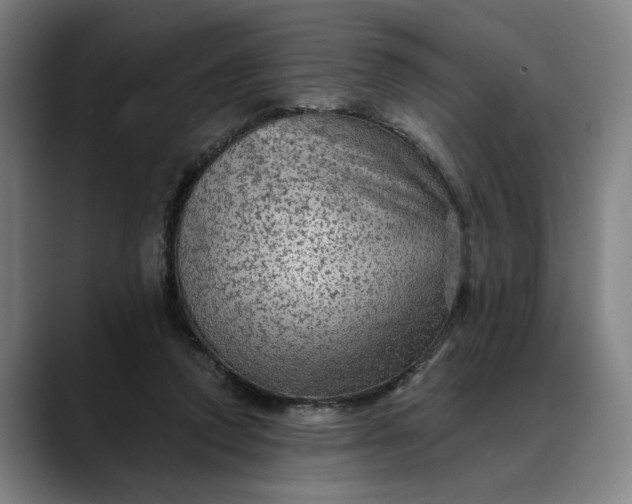 X0000088670354200706141340