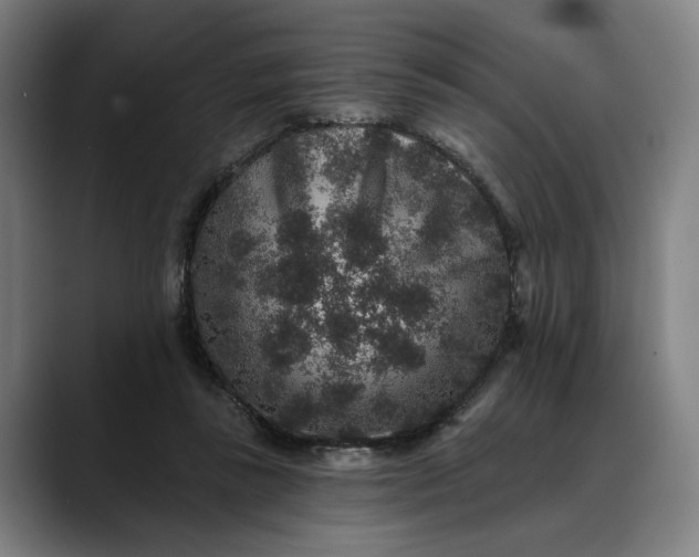 X0000088670355200706141340