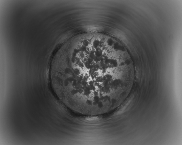 X0000088670357200706141340