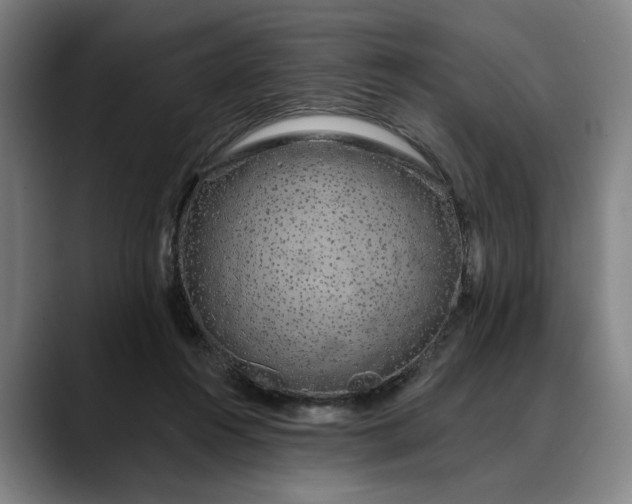 X0000088670360200706141340