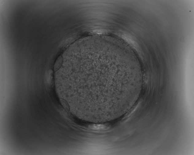 X0000088670361200706141340