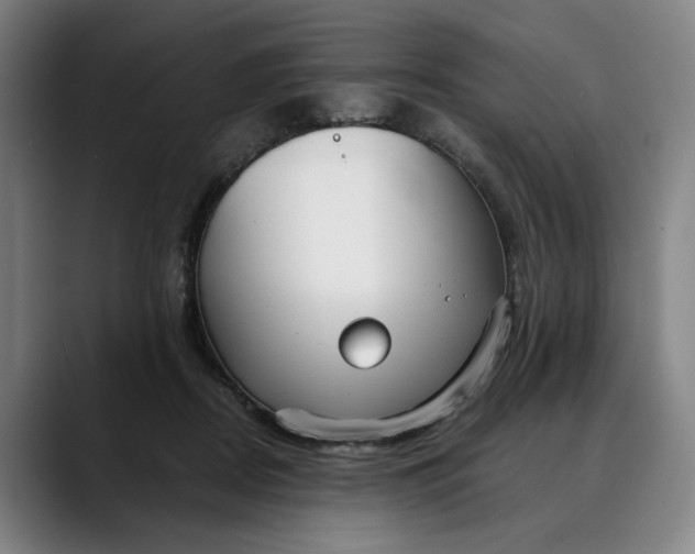 X0000088670362200706141340