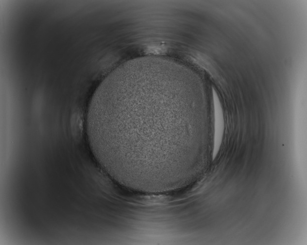 X0000088670363200706141340