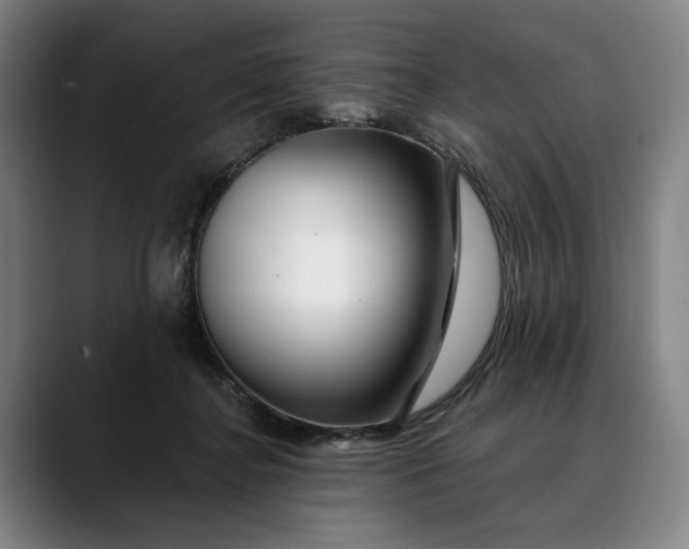 X0000088670364200706141340