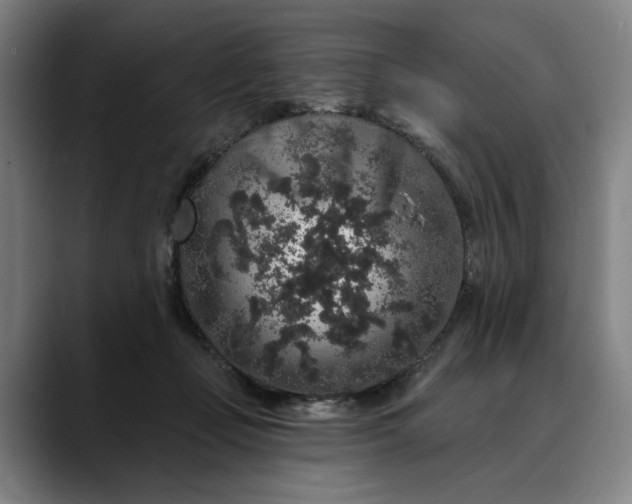 X0000088670365200706141340