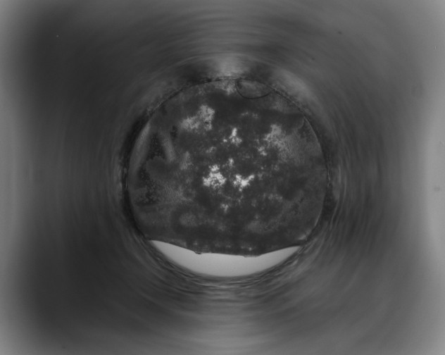 X0000088670366200706141340