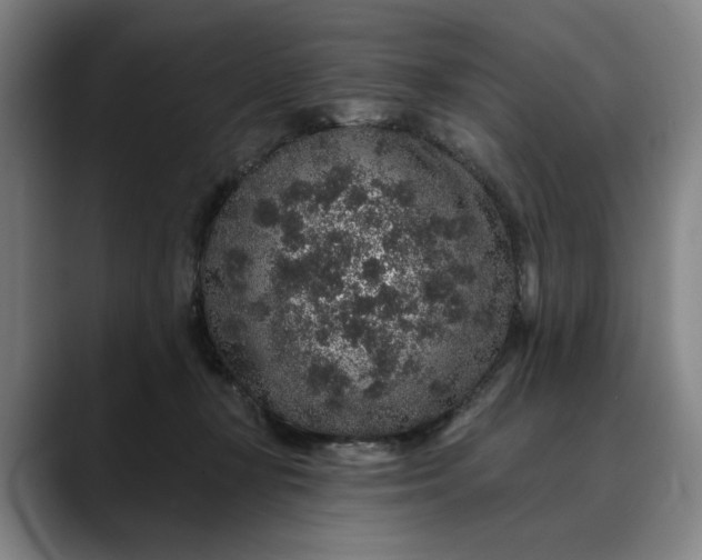 X0000088670367200706141340