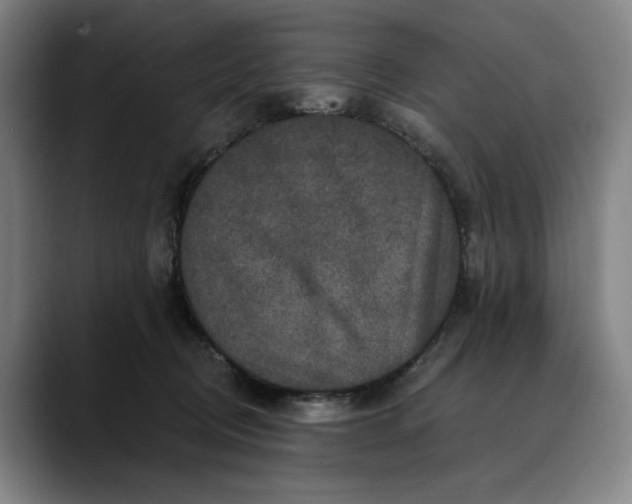 X0000088670370200706141340