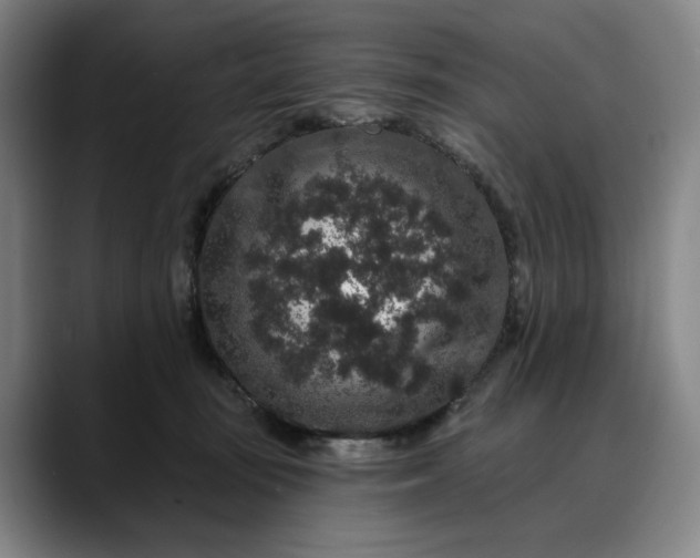 X0000088670371200706141340