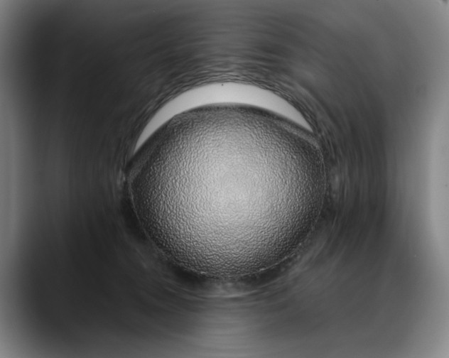 X0000088670372200706141340