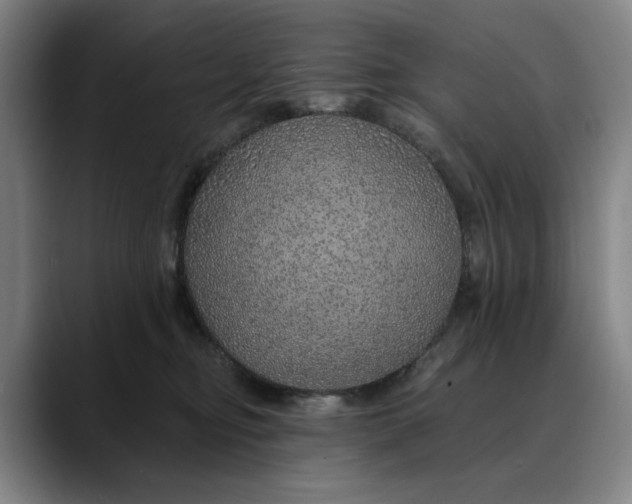 X0000088670374200706141340
