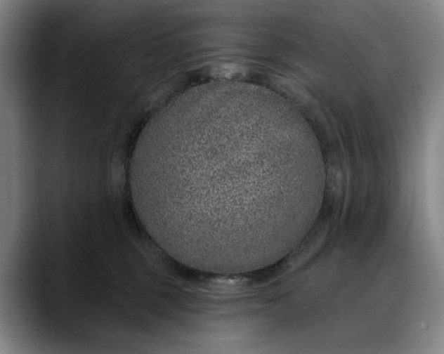 X0000088670375200706141340