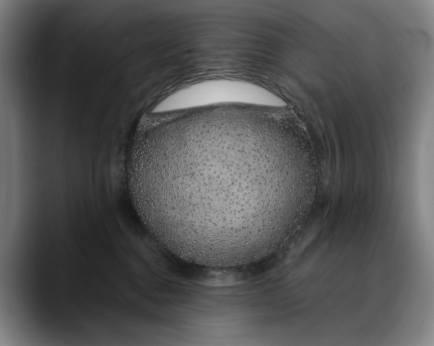 X0000088670376200706141340