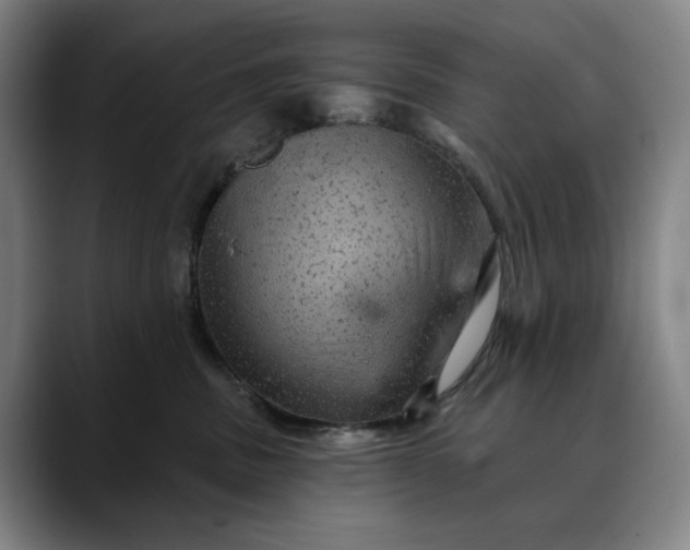 X0000088670379200706141340