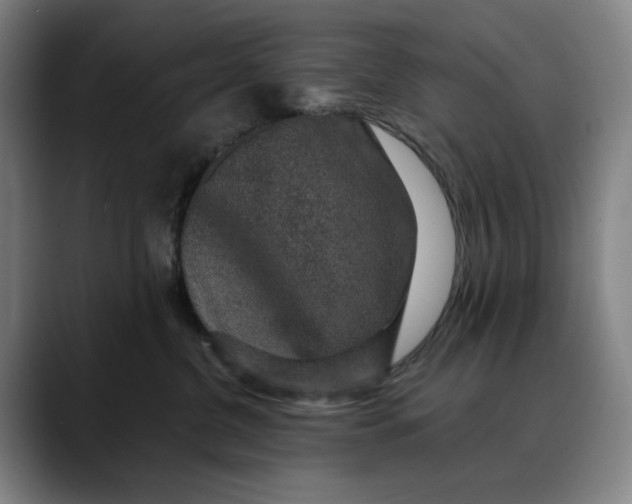 X0000088670380200706141340