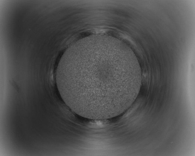 X0000088670381200706141340