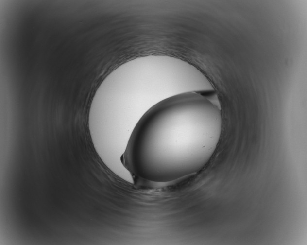 X0000088670384200706141340