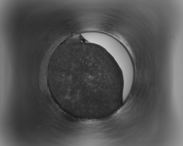 X0000088670385200706141340
