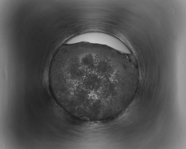 X0000088670386200706141340