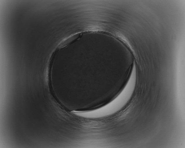 X0000088670387200706141340