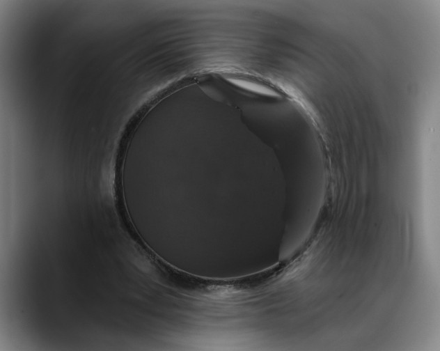 X0000088670391200706141340