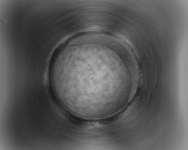 X0000088670392200706141340