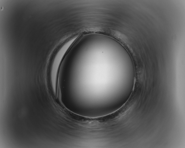 X0000088670395200706141340