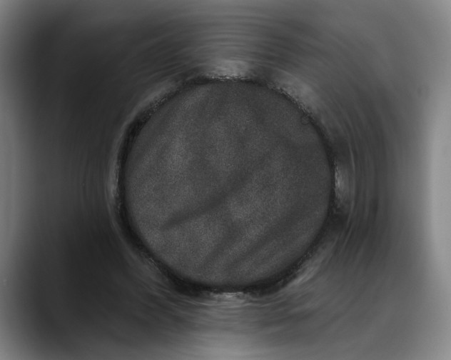X0000088670396200706141340