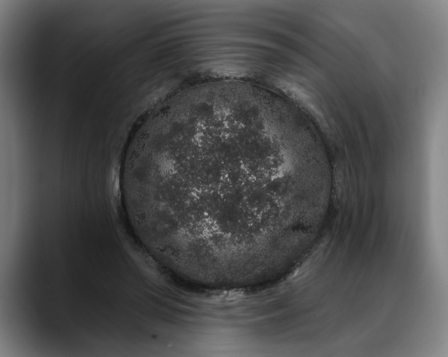 X0000088670398200706141340