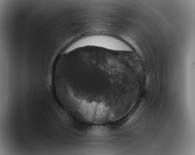 X0000088670399200706141340