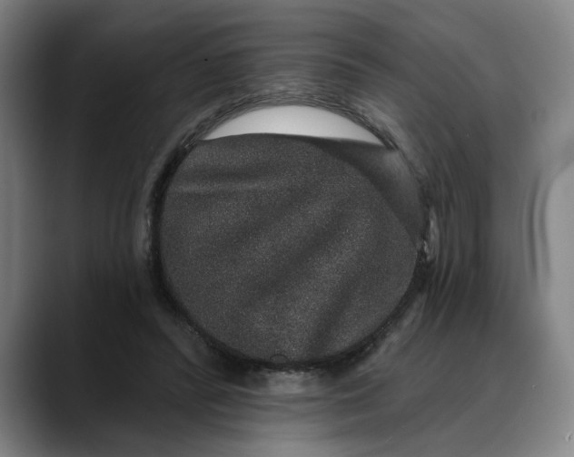 X0000088670400200706141340