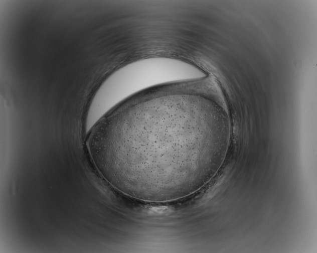 X0000088670401200706141340