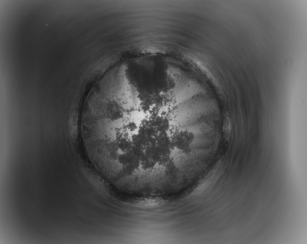 X0000088670402200706141340