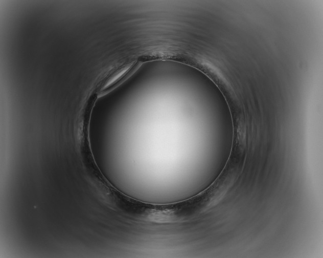 X0000088670403200706141339