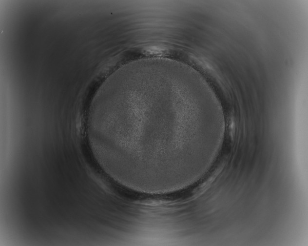 X0000088670408200706141339