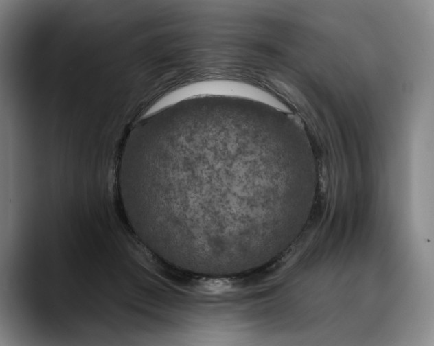 X0000088670409200706141339