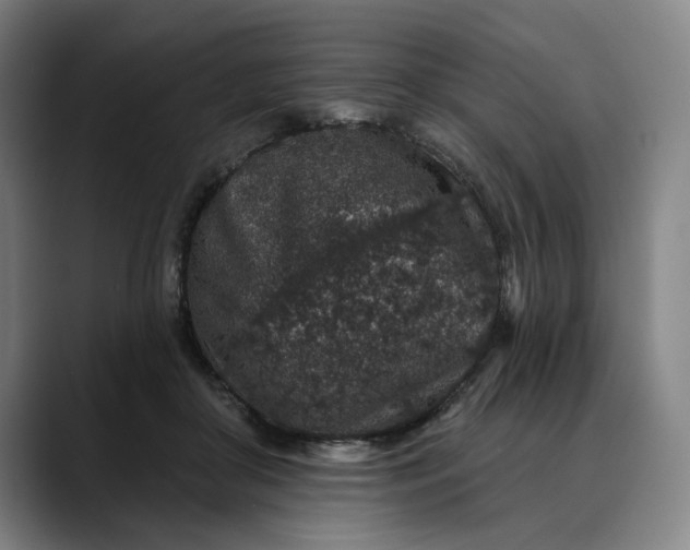 X0000088670410200706141339