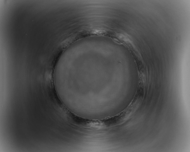 X0000088670415200706141339