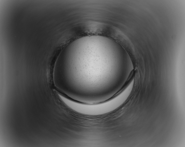 X0000088670416200706141339