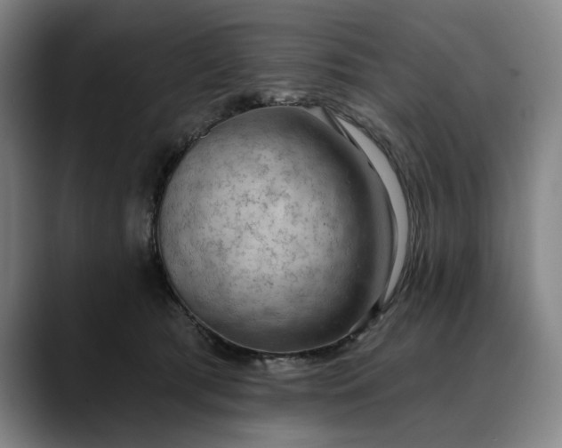 X0000088670417200706141339