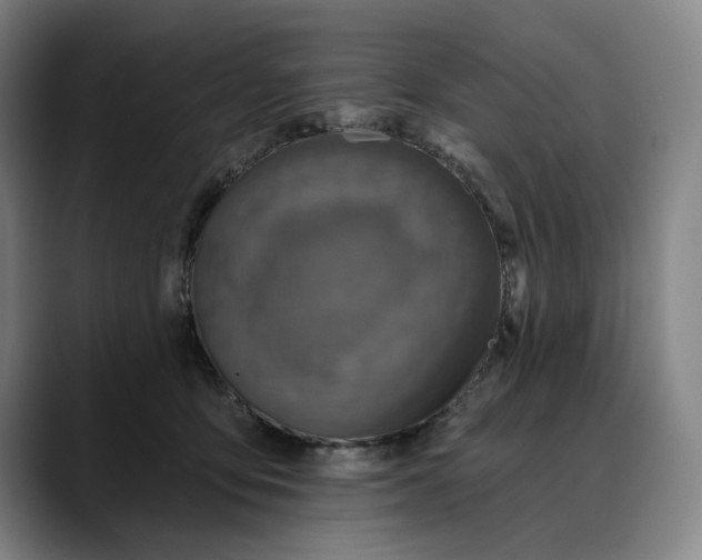 X0000088670419200706141339