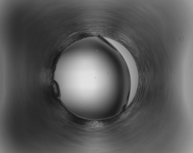 X0000088670421200706141339