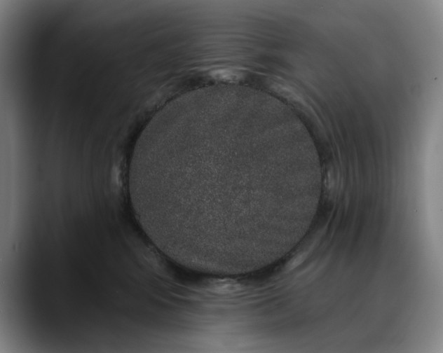 X0000088670424200706141339