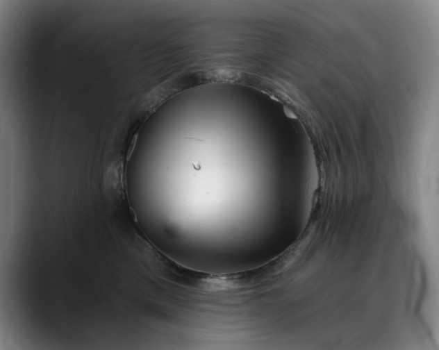X0000088670425200706141339
