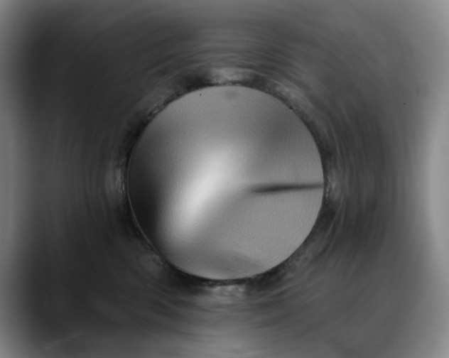X0000088670426200706141339